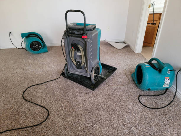 Best Sewage cleanup and water damage restoration  in Sharon, TN