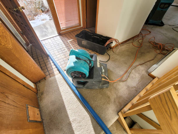 Best Water damage restoration process  in Sharon, TN