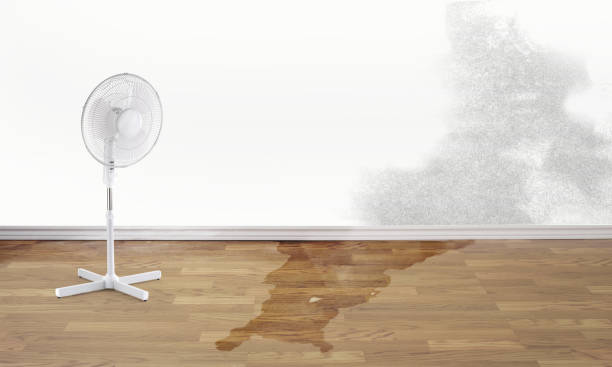 Fire Damage Restoration in Sharon, TN