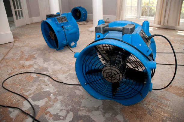 Best Flood damage cleanup  in Sharon, TN