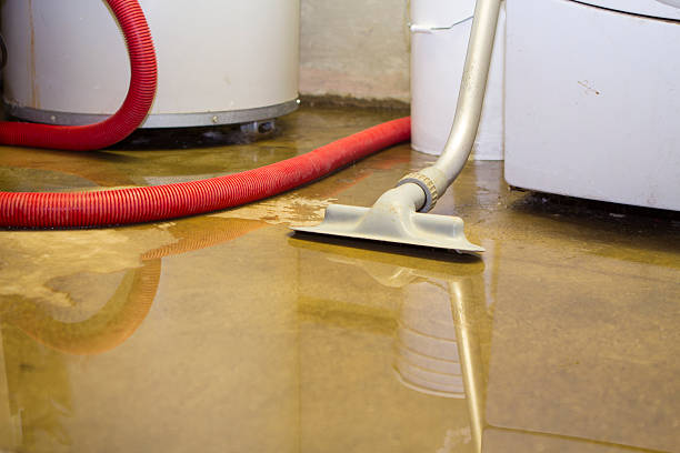 Trusted Sharon, TN Water damage restoration Experts