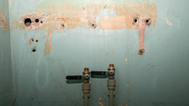 Best Flooded house restoration  in Sharon, TN