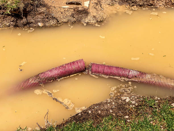 Best Water damage restoration near me  in Sharon, TN