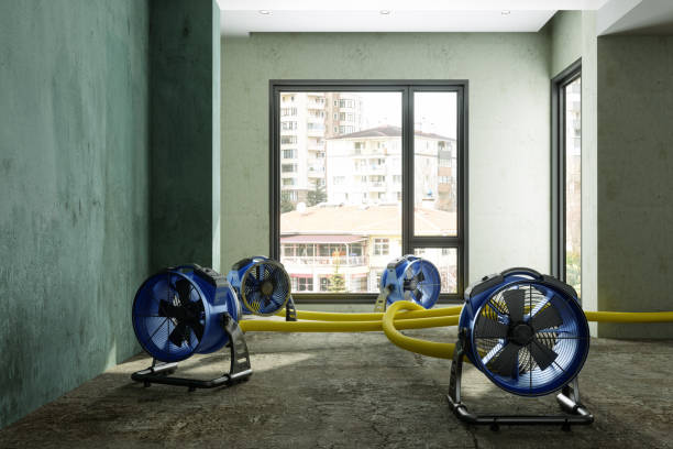 Water damage restoration insurance claims in Sharon, TN